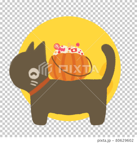 Halloween illustration (black cat) 80629602
