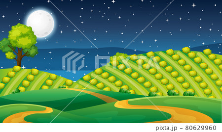 Blank meadow landscape scene at night time 80629960