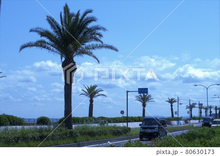 海岸通り 80630173
