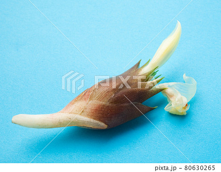 みょうがの花 採りたて みょうがの花 採りたて 80630265