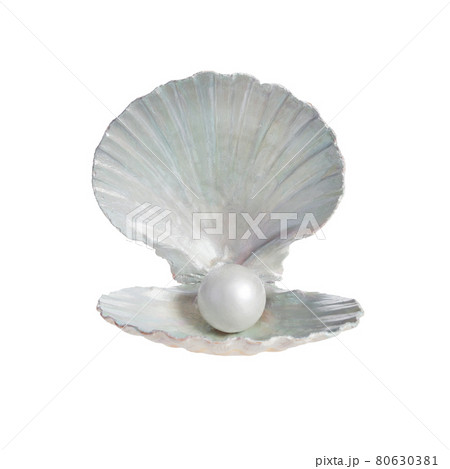 Pearl inside seashell isolated on white background 80630381