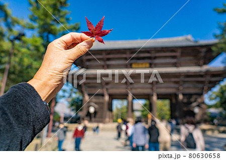 奈良県奈良市東大寺南大門と紅葉の葉 奈良県奈良市東大寺南大門と紅葉の葉 80630658