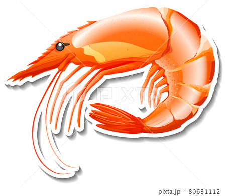 cooked shrimp cartoon