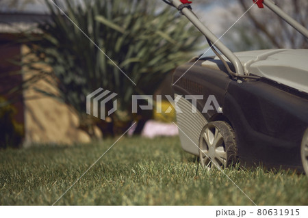 Black and gray modern grass-cutter mowing green lawn in a garden of country house. Gardening care equipment. Close up Black and gray modern grass-cutter mowing green lawn in a garden of country house. Gardening care equipment. Close up 80631915