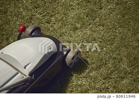Professional grass-cutter mowing green lawn on backyard. Gardening care equipment. Sunny day, close up Professional grass-cutter mowing green lawn on backyard. Gardening care equipment. Sunny day, close up 80631946
