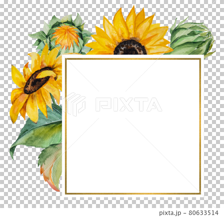 Watercolor autumn frame made of sunflowers and leaves isolated Watercolor autumn frame made of sunflowers and leaves isolated 80633514