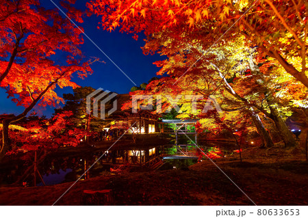 高台寺の紅葉ライトアップ 80633653