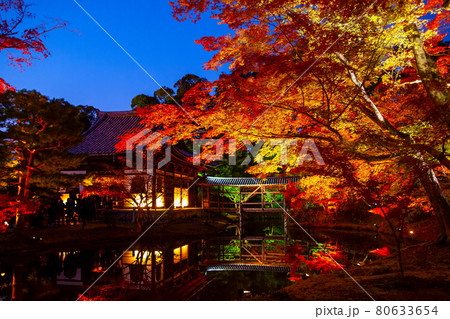 高台寺の紅葉ライトアップ 80633654