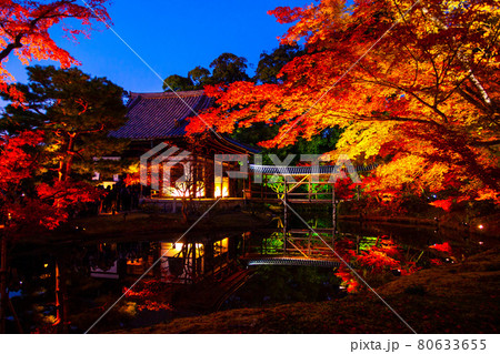 高台寺の紅葉ライトアップ 80633655