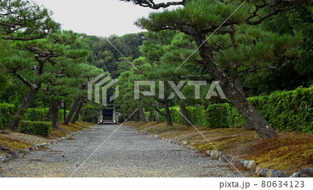 醍醐天皇の後山科陵/京都府京都市伏見区 醍醐天皇の後山科陵/京都府京都市伏見区 80634123