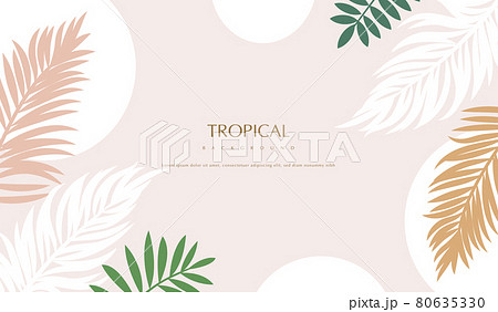 葉 木の葉 熱帯のイラスト素材