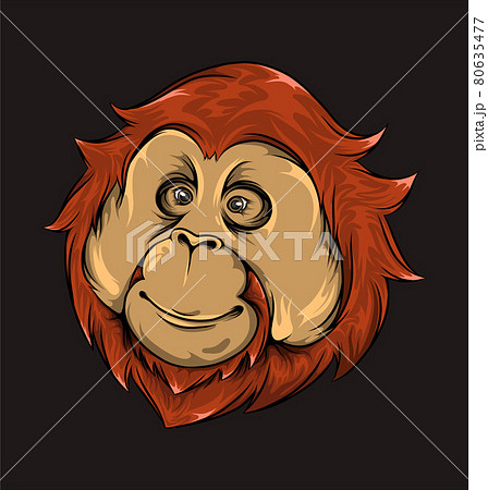 The hand drawn of monkey head with the cute... - Stock Illustration  [80635477] - PIXTA