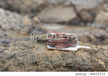 海岸 天然 海 80635532