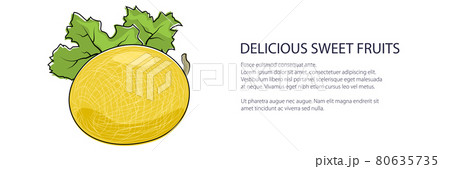 Yellow melon banner 80635735
