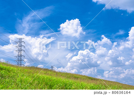 青い空白い雲・草原の丘 青い空白い雲・草原の丘 80636164