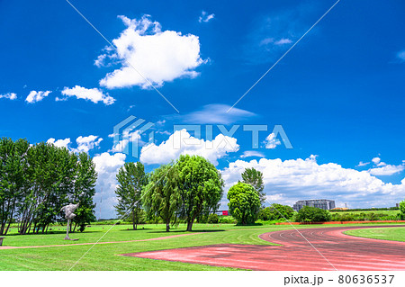 青い空白い雲・荒川河川敷 青い空白い雲・荒川河川敷 80636537