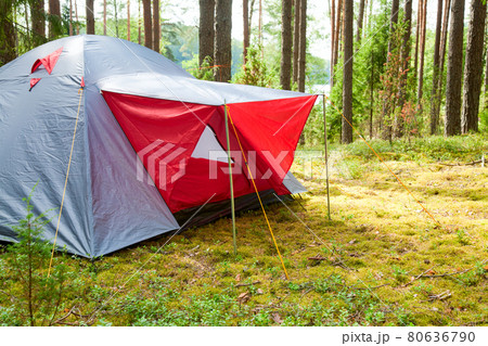 Tent in a forest Tent in a forest 80636790
