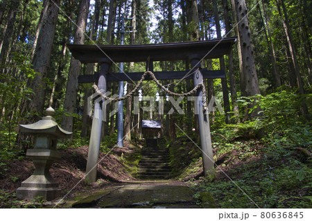 神秘的な青鬼神社 青鬼集落 長野県白馬村 神秘的な青鬼神社 青鬼集落 長野県白馬村 80636845