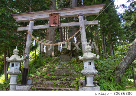 杉林に囲われた神秘的な北野社　長野県白馬村 80636880