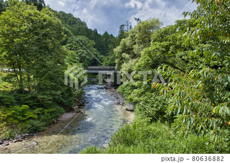 大出の吊り橋から眺める姫川の清流　長野県白馬村 80636882
