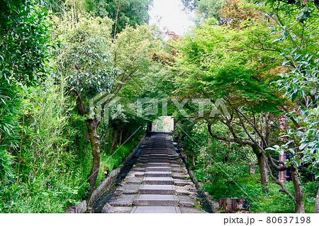 緑に囲まれた山門 80637198