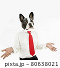 French Bulldog business man with hands extended 80638021