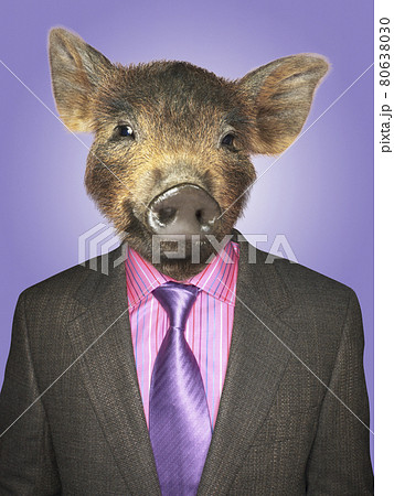 Piglet dressed business man 80638030