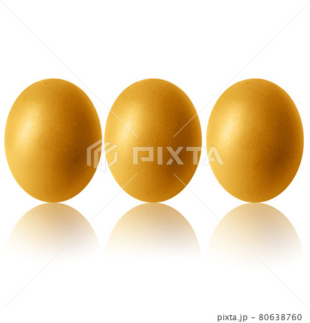 chicken egg and shadow on white background chicken egg and shadow on white background 80638760