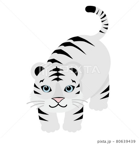 寅のイラスト素材 寅のイラスト素材 80639439