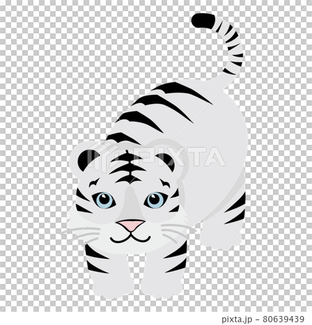 寅のイラスト素材 寅のイラスト素材 80639439