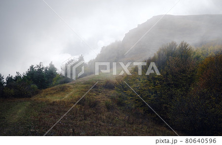 Majestic morning mountain landscape with colorful forest and cloudy sky. 80640596