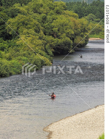 三面川の鮎釣り 80641073