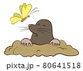 Cartoon Mole and Butterfly 80641518