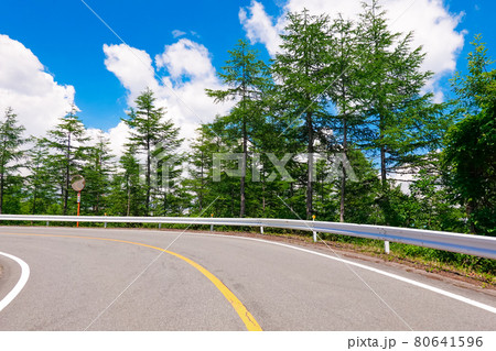 夏の志賀草津道路（草津道路側） 80641596