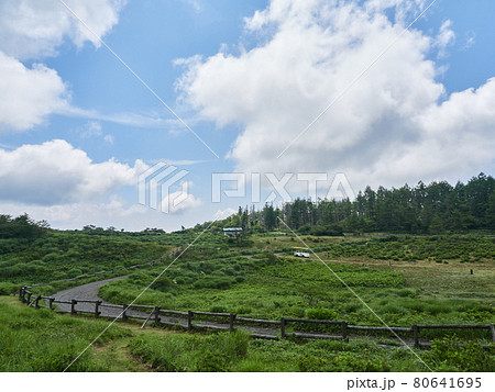 夏（8月）、馬のいない高ボッチ高原の草競馬場 長野県塩尻市 80641695