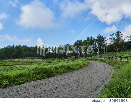夏（8月）、馬のいない高ボッチ高原の草競馬場 長野県塩尻市 80641698