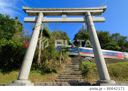神社の脇を通る特急列車（JR四国 N2000系） 80642171
