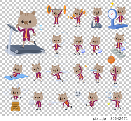 Boar boy set on exercise and sports Boar boy set on exercise and sports 80642471