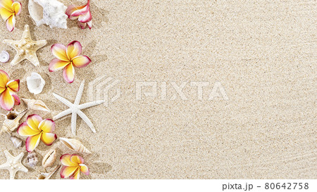 Frangipani tropical Ffower, plumeria and seashells, starfish on sand background, top view, copy space 80642758