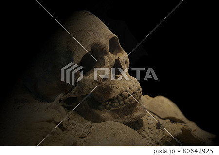 Human skull with dark background. Concept of death, horror and anatomy. still life vintage of human skull 80642925
