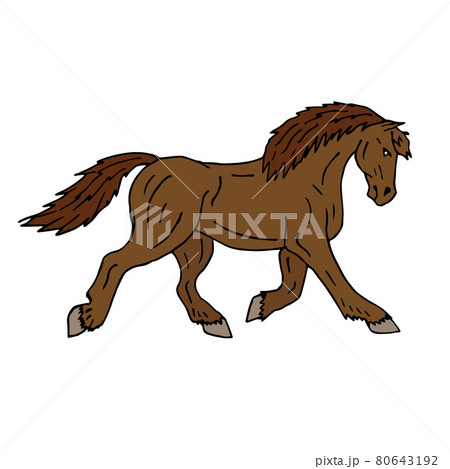 Vector hand drawn doodle sketch color draft horse 80643192