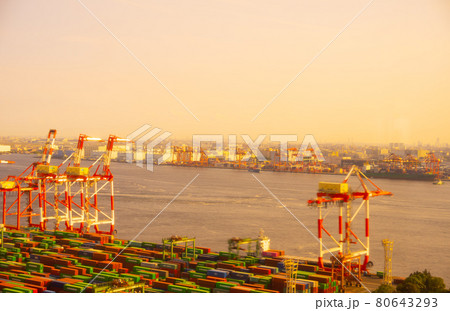 日本の産業　東京港　海運　コンテナターミナル 80643293