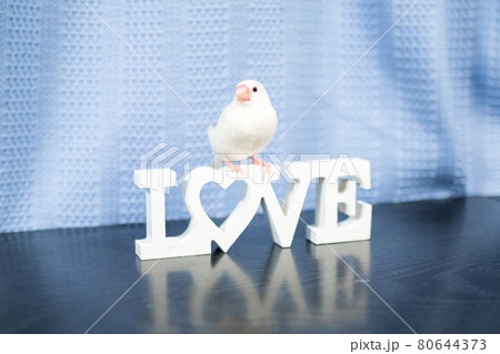 【文鳥】我が家のかわいい文鳥さん 80644373