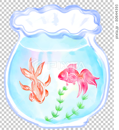Two goldfish in a fishbowl Two goldfish in a fishbowl 80644393