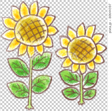 ひまわりの花 80644397