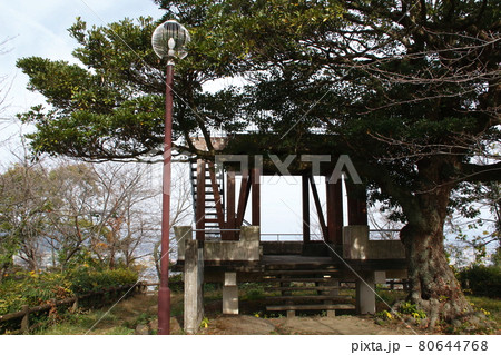 朝日山公園にて（佐賀県鳥栖市） 80644768