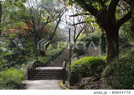 朝日山公園遊歩道（駐車場→山頂間） 80644770