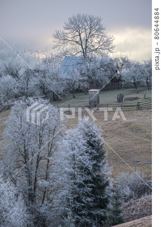 Winter coming. Picturesque pre sunrise scene above late autumn mountain countryside with hoarfrost on grasses, trees, slopes. Peaceful fairy sunlight rays from cloudy sky. Ukraine, Carpathian. 80644884