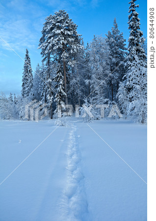 Trail in the snow 80644908