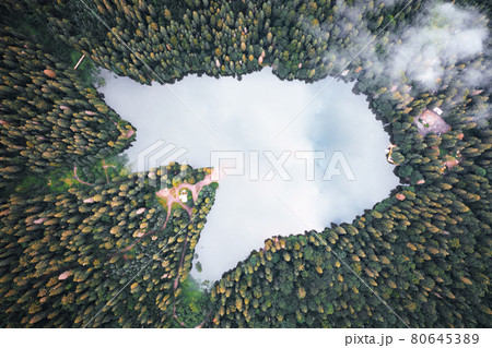 Aerial view of wild Lake Synevir 80645389